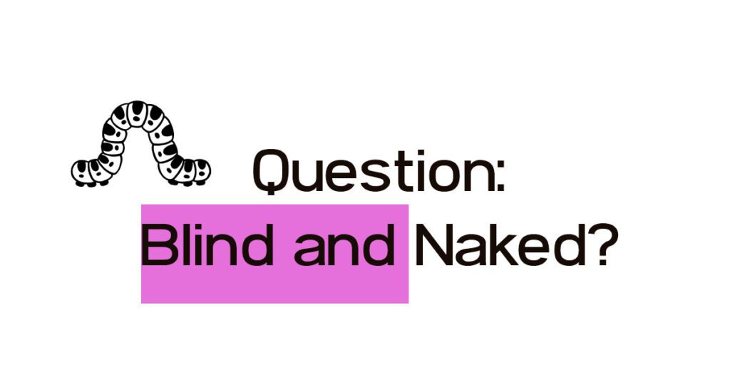Blind and Naked? - Answer Questions about Nudity in the Bible - a commentary on the Church at Laodicea in Revelation chapter 3