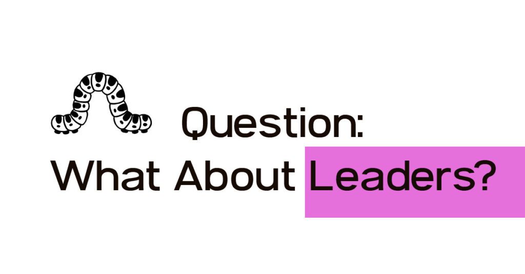 What about Leaders? Answer Questions about Nudity in the Bible - priests and levites had to wear underwear. Why was that?